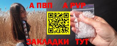 дмт Донской