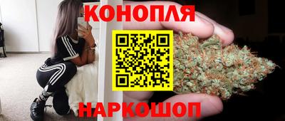 МДПВ Дубна
