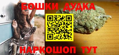 МДПВ Дубна