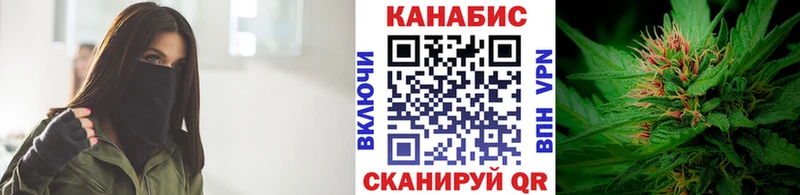 Каннабис White Widow  где купить наркоту  Приморско-Ахтарск 